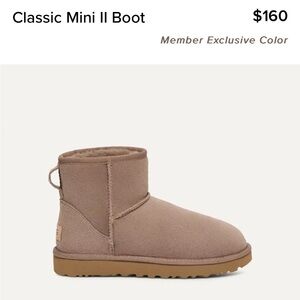 brand new UGG classic mini boots in carabou (with box)